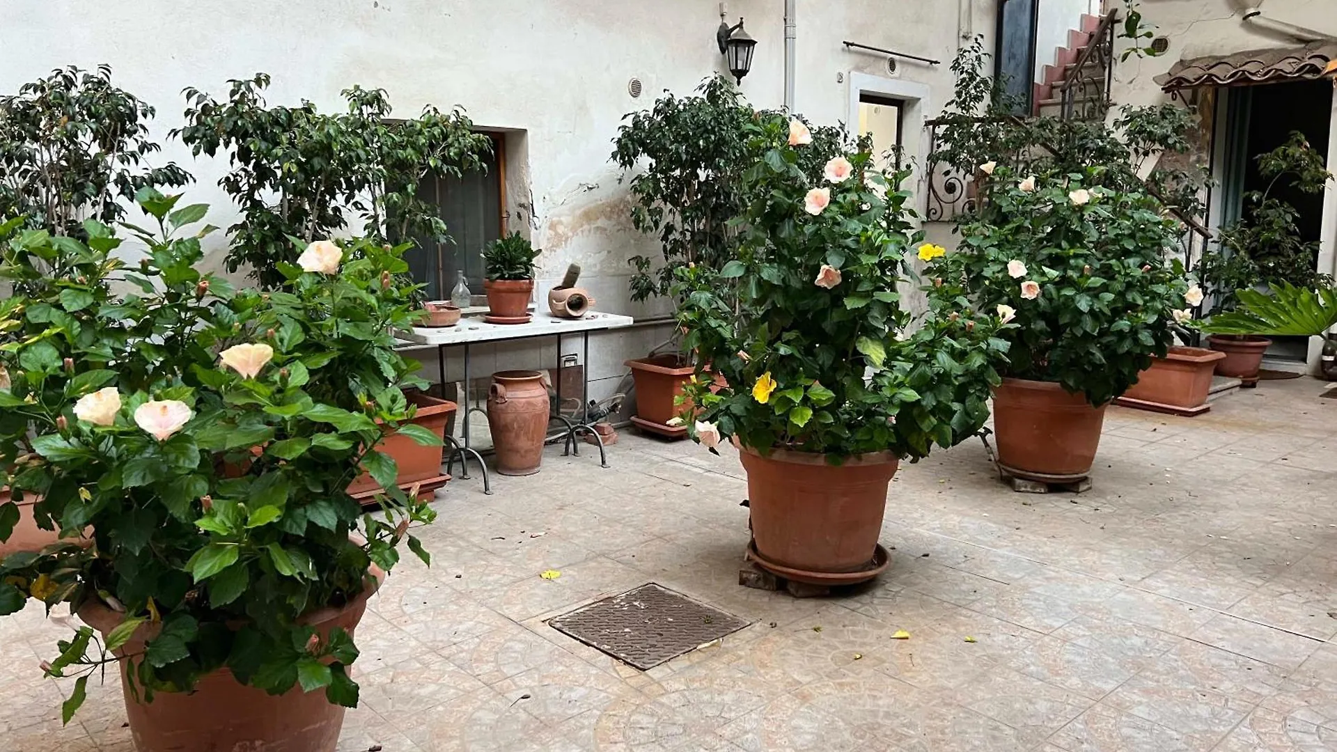 Apartment Bellini Space 3 Catania