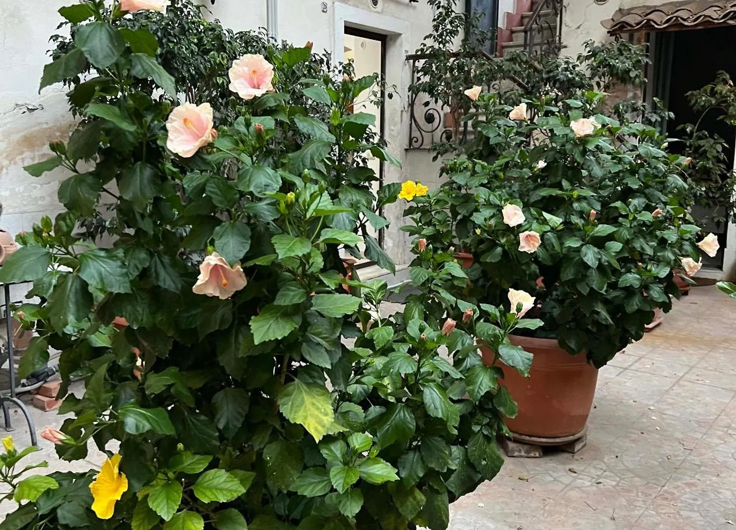 Bellini Space 3 Catania Apartment